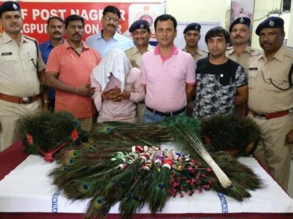 Nagpur railway station: The accused arrested with 16 thousand peacocks feathers | नागपूर रेल्वेस्थानक : १६ हजार मोरपंखासह आरोपीला अटक