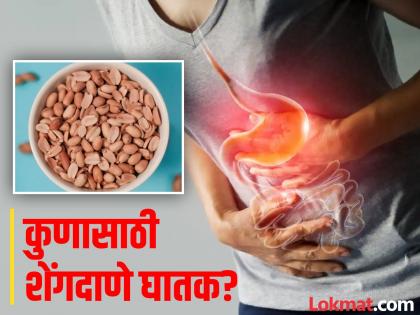 5 people should not eat peanuts know the side effects | 'या' ५ समस्या असलेल्यांनी चुकूनही खाऊ नये शेंगदाणे, जाणून घ्या होणारे गंभीर नुकसान!