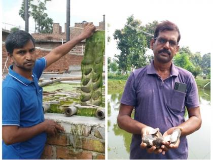 success story ajay mehta and uday kumar of gaya become pearl king by pearl cultivation | खर्च कमी अन् फायदा मोठा! 50 हजारांत सुरू करा 'हा' व्यवसाय, 3 ते 4 लाखांची बक्कळ कमाई