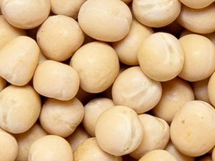 Matki, white peas became expensive while chana dal became cheaper | मटकी, सफेद वाटाणा महाग तर चणाडाळ, चणे झाले स्वस्त