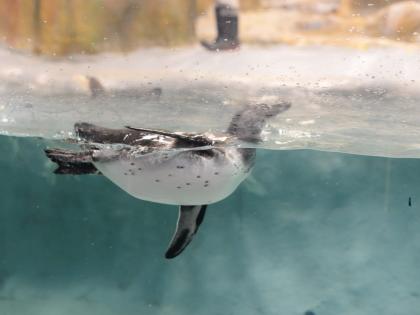 छायाचित्र : दत्ता खेडेकर