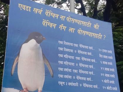 mns santosh dhuri criticized shiv sena and maha vikas aghadi govt over expenses for penguins | “एवढा खर्च पेंग्विनला पोसण्यासाठी की पेंग्विन गँगसाठी?”; मनसेची विचारणा