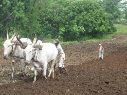 Even if the sowing is finished, the loan will not get anything; So far only 72 percent loan disbursement in Pune district | पेरण्या आटोपल्या तरी कर्ज काही मिळेना; पुणे जिल्ह्यात आतापर्यंत ७२ टक्केच कर्जवाटप