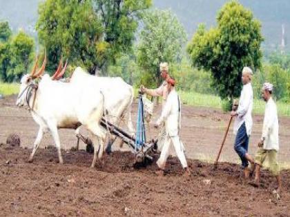 sowing has stopped on about 37 thousand hectares In Karad taluka, farmers are worried | कऱ्हाड तालुक्यात तब्बल ३७ हजार हेक्टरवर पेरण्या रखडल्या!, शेतकरी चिंतेत