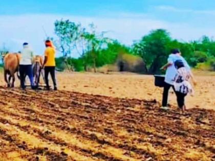 Farmers have stopped sowing. Sowing was stopped on Tuesday as it was a tradition to preserve it | शेतकऱ्यांनी पेरणी थांबवून केले परंपरेचे जतन, वर्जिकवार असल्याने मंगळवारी पेरणी थांबवली