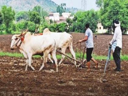 Rainfall cycle changed sowing planning disrupted Hundreds of hectares of land likely to be lost in Satara district | पावसाचे चक्र बदलले, पेरणीचे नियोजन बिघडले; सातारा जिल्ह्यात शेकडो हेक्टर क्षेत्र नापेरची शक्यता Rainfall cycle changed sowing planning disrupted Hundreds of hectares of land likely to be lost in Satara district | पावसाचे चक्र बदलले, पेरणीचे नियोजन बिघडले; सातारा जिल्ह्यात शेकडो हेक्टर क्षेत्र नापेरची शक्यता