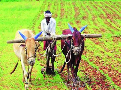 Abundant stocks of seeds and fertilizers Sow after adequate rainfall, urges the Agriculture Department | बियाणे अन् खतांचा मुबलक साठा; पुरेशा पावसानंतर पेरणी करा, कृषी विभागाचे आवाहन