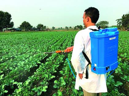 Inspection of pesticides, fertilizers, 86 warehouses | कीटकनाशक, खतांच्या ८६ गोदामांची तपासणी