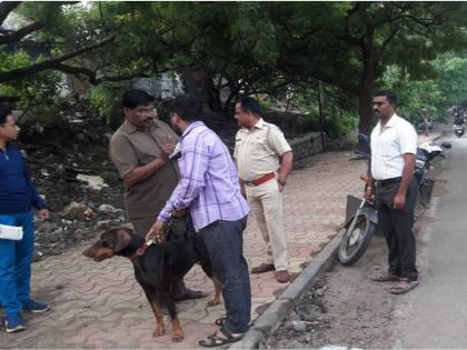 if your dog is crating mess on road then read this... | तुम्ही रस्त्यावर कुत्र्याला घाण करायला घेऊन जात असाल, तर हे वाचाच !