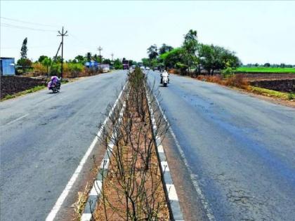 Sangli-Peth road work stopped, Union Road Transport Minister Nitin Gadkari approved a fund of 600 crores | सांगली-पेठ रस्त्याचा प्रश्न: गडकरींनी सहाशे कोटीचा नारळ फोडला, तरीही मुहूर्त लांबला 