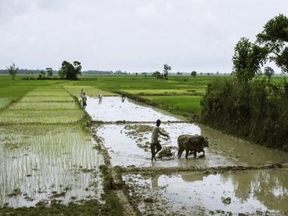 EKYC of 1 lakh 16 thousand farmers outstanding; Extension of PM Kisan KYC deadline | १ लाख १६ हजार शेतकऱ्यांचे इकेवायसी बाकी; पीएम किसान केवायसीच्या मुदतीत वाढ