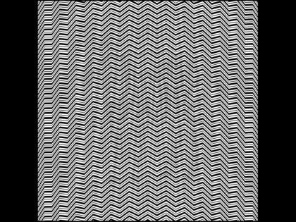 eye test: find zebra in the photo | Eye test: शोधाल तर सापडेल! या फोटोत दडलाय एक प्राणी, तुमची नजर असेल तीक्ष्ण तर दाखवा शोधुन