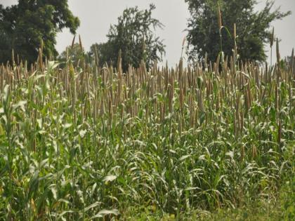 Rainfall retains an average of 30 percent deficit | पावसाची सरासरी 30 टक्के तूट कायम