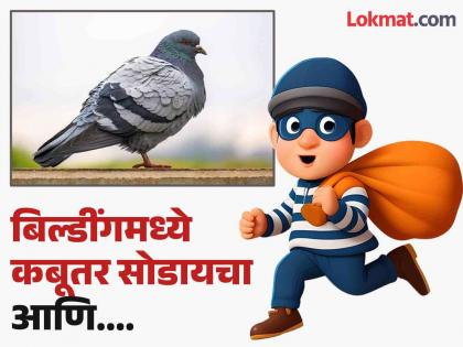 Shocking! Bengaluru burglar used pigeons to rob 50 homes | कबुतरांच्या मदतीने चोरी करत होता चोर, ५० घरफोड्या करण्याची पद्धत वाचून व्हाल अवाक्!