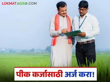 Latest News apply for crop loan in central government portal way, read in detail | बँकेच्या पायऱ्या झिजवण्याची गरज नाही, असा करा घसबसल्या पीक कर्जासाठी अर्ज, वाचा सविस्तर Latest News apply for crop loan in central government portal way, read in detail | बँकेच्या पायऱ्या झिजवण्याची गरज नाही, असा करा घसबसल्या पीक कर्जासाठी अर्ज, वाचा सविस्तर