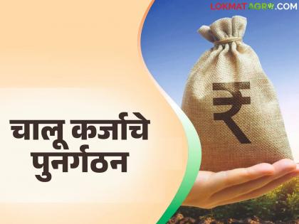 The current loans of flood-affected farmers will be restructured; will there be an opportunity for loan waiver? | पूरबाधित शेतकऱ्यांच्या चालू कर्जाचे पुनर्गठन होणार; कर्ज माफीची संधी मिळणार का? The current loans of flood-affected farmers will be restructured; will there be an opportunity for loan waiver? | पूरबाधित शेतकऱ्यांच्या चालू कर्जाचे पुनर्गठन होणार; कर्ज माफीची संधी मिळणार का?
