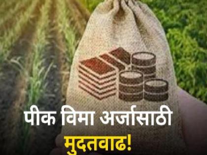 2 lakh 84 thousand applications were received for crop insurance scheme from Satara district | मुदतीत पीक विमा अर्जाचा पाऊस; सातारा जिल्ह्यात तीन लाखांजवळ आकडा ! 