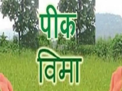 Only 15 thousand farmers in Satara district took insurance | एक रुपयांत पीक विमा, तरी शेतकऱ्यांमध्ये उदासिनता; सातारा जिल्ह्यातील केवळ 'इतक्या'नीच उतरवला विमा