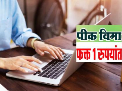 Crores of public service centers were stopped, it took two months for farmers to fill their crop insurance applications | लोकसेवा केंद्रांचे कोट्यवधी रखडले, शेतकऱ्यांचे पीक विमा अर्ज भरून दोन महिने झाले