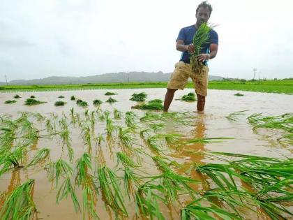 Crop insurance registration of six lakh farmers; Vikhe Patal informed the government in its door activity | सहा लाख शेतकर्यांची पीक विमा नोंदणी; विखे पाटलांनी शासन आपल्या दारी उपक्रमात दिली माहिती