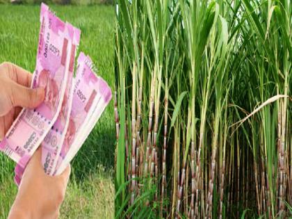 Sugarcane will get peak loan of Rs 52,800 per acre | शेतकऱ्यांसाठी खूशखबर! उसाला मिळणार एकरी ५३ हजार रुपये पीककर्ज