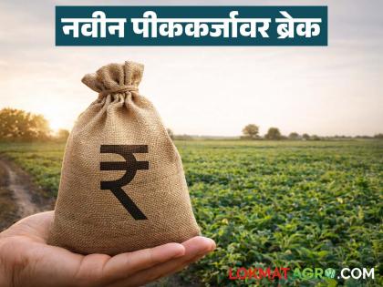 latest news Pik Karja: A big blow to farmers just before Kharif! No loan waiver, no crop loan… What now? | Pik Karja : खरीप तोंडावरच शेतकऱ्यांना मोठा झटका! ना कर्जमाफी, ना पीककर्ज… आता काय? latest news Pik Karja: A big blow to farmers just before Kharif! No loan waiver, no crop loan… What now? | Pik Karja : खरीप तोंडावरच शेतकऱ्यांना मोठा झटका! ना कर्जमाफी, ना पीककर्ज… आता काय?