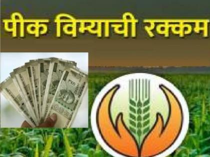 138 crore crop insurance compensation to farmers in Sangli district | सांगली जिल्ह्यातील शेतकऱ्यांना पीकविम्याची १३८ कोटींची भरपाई