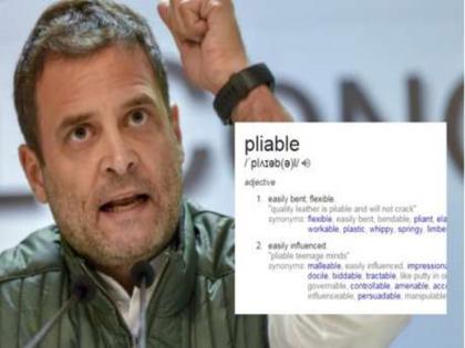 Indians are Furiously Googling 'Pliable' to Make Sense of Rahul Gandhi Accusing Journalist | राहुल गांधींच्या 'त्या' शब्दाचा अर्थ कोणालाच नाही कळला, होतोय गुगल सर्च