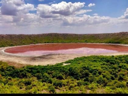 E-surveillance cameras at Lonar Sanctuary | लोणार अभयारण्यात ई-सर्व्हिलन्स कॅमेरे