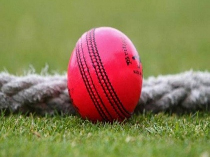 India vs Bangladesh : BCCI orders 6 dozen pink balls for day-night Test at Eden | India vs Bangladesh : बाबो! Day-Night कसोटीसाठी बीसीसीआयने मागवले इतके चेंडू