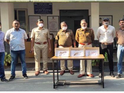 Notorious gangster involved in pistol smuggling arrested in Nagpur | पिस्तुलाच्या तस्करीत गुंतलेला कुख्यात गुंड नागपुरात  जेरबंद