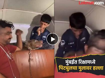 Mumbai: Dog was barking and owner was laughing; Pitbull attacks 11-year-old boy in Ghatkopar | मुंबई: कुत्रा लचके तोडत होता आणि मालक हसत होता; घाटकोपरमध्ये ११ वर्षाच्या मुलावर पिटबुलचा हल्ला