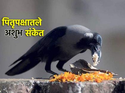 Pitru Paksha 2025: One week left of Pitru Paksha; How to identify Pidrodosh? What is the solution? Let's see it | Pitru Paksha 2025: पितृपक्षाचा एक आठवडा शिल्लक; पितृदोष कसा ओळखावा? उपाय कोणते? ते पाहू