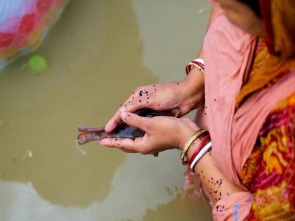 pitru paksha 2023 whether the daughter or wife can also perform shradh know about what garuda purana said | पितृपक्ष: महिलांना श्राद्धविधी करण्याचा अधिकार आहे का? पाहा, शास्त्रवचन काय सांगते