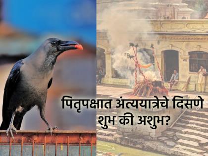 Pitru Paksha 2025: पितृ पक्षात एखादी अंत्ययात्रा दिसणे शुभ की अशुभ? काय करावे उपाय? वाचा