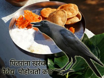 Pitru Paksha 2025: How to know if the offering has reached the ancestors? The answer is found in Matsya Purana! | Pitru Paksha 2025: पितरांना नैवेद्य पोहोचला, हे कसे ओळखावे? मत्स्यपुराणात सापडते उत्तर!