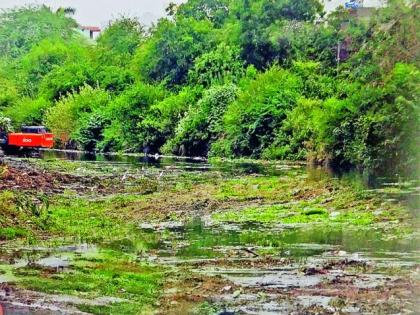 Thakuramatur cleaning of yellow river in Nagpur |  नागपुरातील पिवळ्या नदीची थातूरमातूर सफाई 