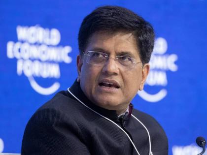 Settle your internal disputes later, work together first; Suggestions by Piyush Goyal | तुमच्यातील अंतर्गत वाद नंतर मिटवा, आधी एकजूट होऊन काम करा; पीयूष गोयल यांच्या सूचना