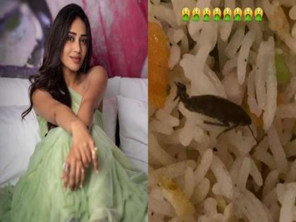 Nivetha Pethuraj finds cockroach in food, Swiggy takes Chennai restaurant off app | अभिनेत्रीने स्विगीद्वारे मागवले जेवण, जेवणात आढळले झुरळ...