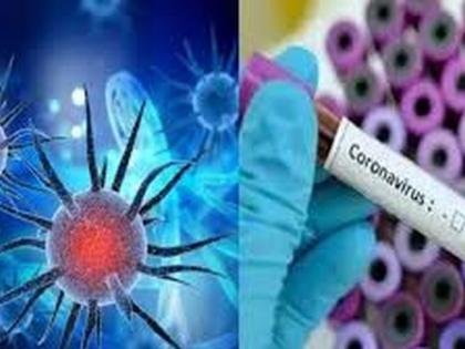 CoronaVirus in Buldhana: 28 more positive; Total number of patients is 1,999 | CoronaVirus in Buldhana : आणखी २८ पॉझिटिव्ह; एकूण रुग्णसंख्या १, ९९९