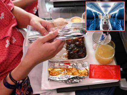 A live mouse discovers in the passenger's meal, the plane had to make an emergency landing Norway | पॅसेन्जरच्या जेवणात निघाला जिवंत उंदीर, कराव लागलं विमानाचं इमरजन्सी लॅन्डिंग; नेमकं काय घडलं?