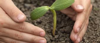 Plants to be planted on the dumping ground in Nanded city | नांदेड शहरात डम्पिंग ग्राऊंडवर लावणार झाडे