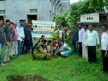 Like 'Vitthala' also worship the trees; the tree plantation | ‘विठ्ठला’ प्रमाणेच झाडांचीही भक्ती करा; वृक्षदिंडी काढून पटविले महत्व