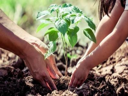 ‘The tree is yours, the name is yours but the care is ours’; An innovative tree planting initiative | ‘झाड तुमचं, नावही तुमचंच मात्र संगोपन आमचं’; वृक्षसंवर्धनाचा एक अभिनव उपक्रम 