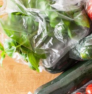 प्लास्टिकच्या पिशव्यांमध्ये भाज्या भरुन फ्रिजमध्ये ठेवणं अत्यंत घातक, रोजची साधी सवय ठरू शकते जीवघेणी