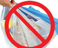 Sale of plastic bags; action taken; 10 thousand penalty | प्लास्टिक पिशव्यांची विक्री; मनपाने पुन्हा केली कारवाई; १० हजार दंड