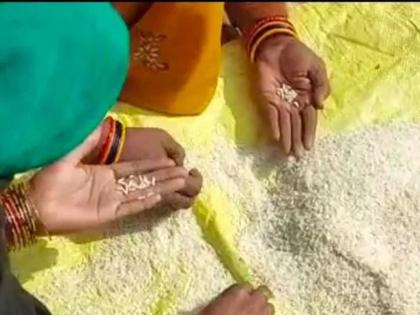 in uttar pradesh plastic mixed rice found in barbanki villagers do not want to eat | रेशनिंगवर प्लास्टिकचे तांदूळ मिळताहेत! संपूर्ण गावात एकच खळबळ; ग्रामस्थ भडकले