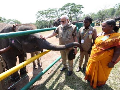 project tiger PM narendra modi meets couple bommai and belly of Oscar winning documentary The Elephant Whisperers photos go viral | ऑस्कर विजेती डॉक्युमेंटरी 'द एलिफंट व्हिस्परर्स'च्या जोडप्याची पंतप्रधानांनी घेतली भेट, Photos व्हायरल