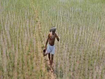 PM Crop Insurance Scheme Rs 921 crore to be deposited in farmers accounts tomorrow | पंतप्रधान पीकविमा योजना: शेतकऱ्यांच्या खात्यांवर उद्या जमा होणार ९२१ कोटी PM Crop Insurance Scheme Rs 921 crore to be deposited in farmers accounts tomorrow | पंतप्रधान पीकविमा योजना: शेतकऱ्यांच्या खात्यांवर उद्या जमा होणार ९२१ कोटी