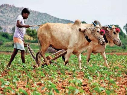 PM Kisan 10th installment coming on January 1: Here's the direct link to check your name on beneficiary list | PM Kisan: शेतकऱ्यांसाठी खूशखबर! पीएम किसान योजनेचा 10 वा हप्ता 'या' दिवशी जमा होणार 